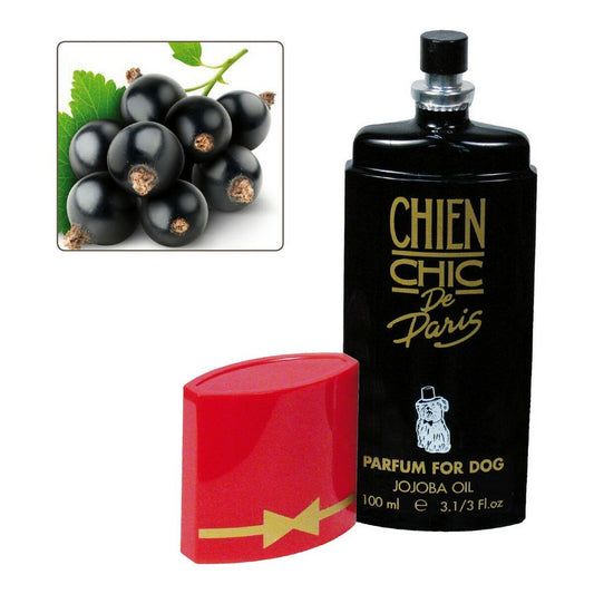 Husdjursparfym Chien Chic Hund Vinbär (100 ml)